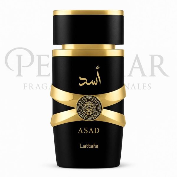 ASAD (negro)  cuero  8hs LATTAFA