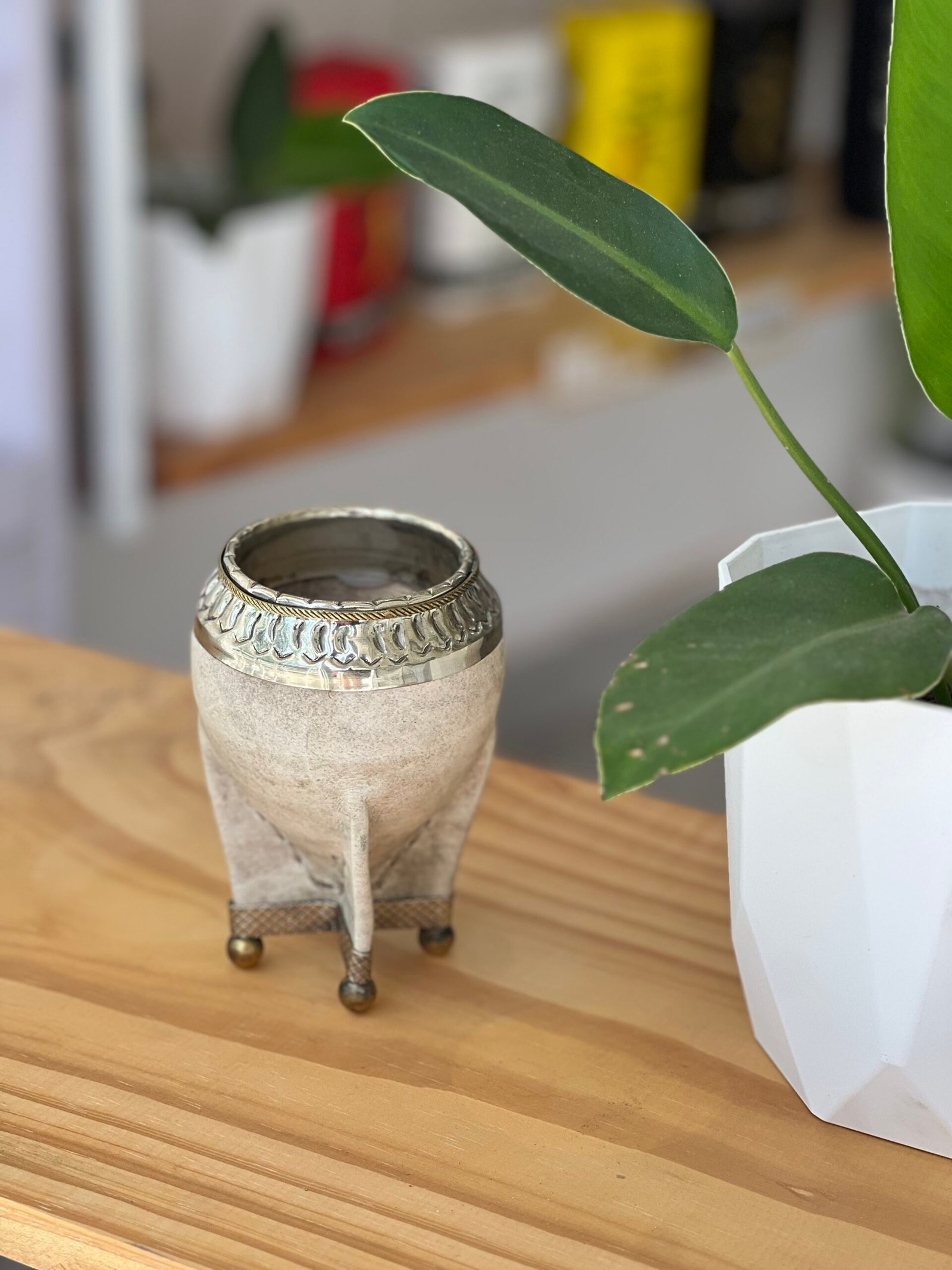 Torpedo de cuero crudo con base de alpaca