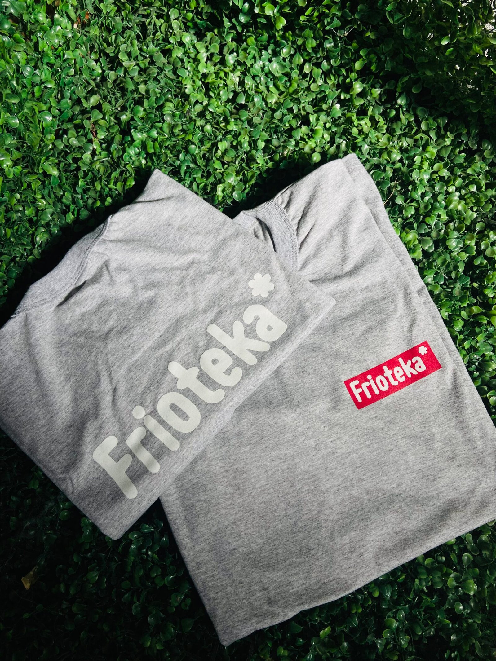 REMERA ALGODON - Imagen 6