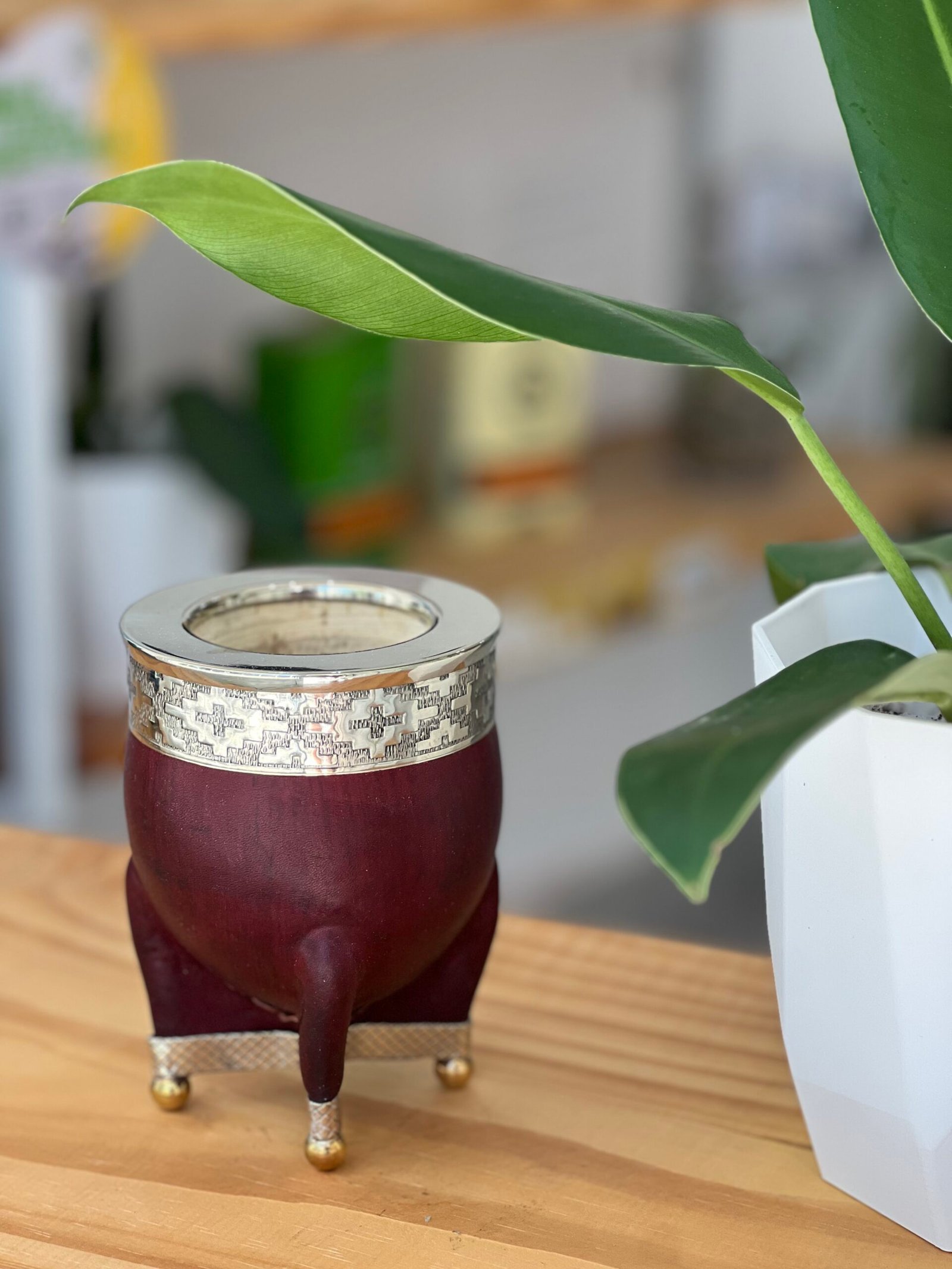 Imperial cuero liso con base de alpaca - Imagen 3