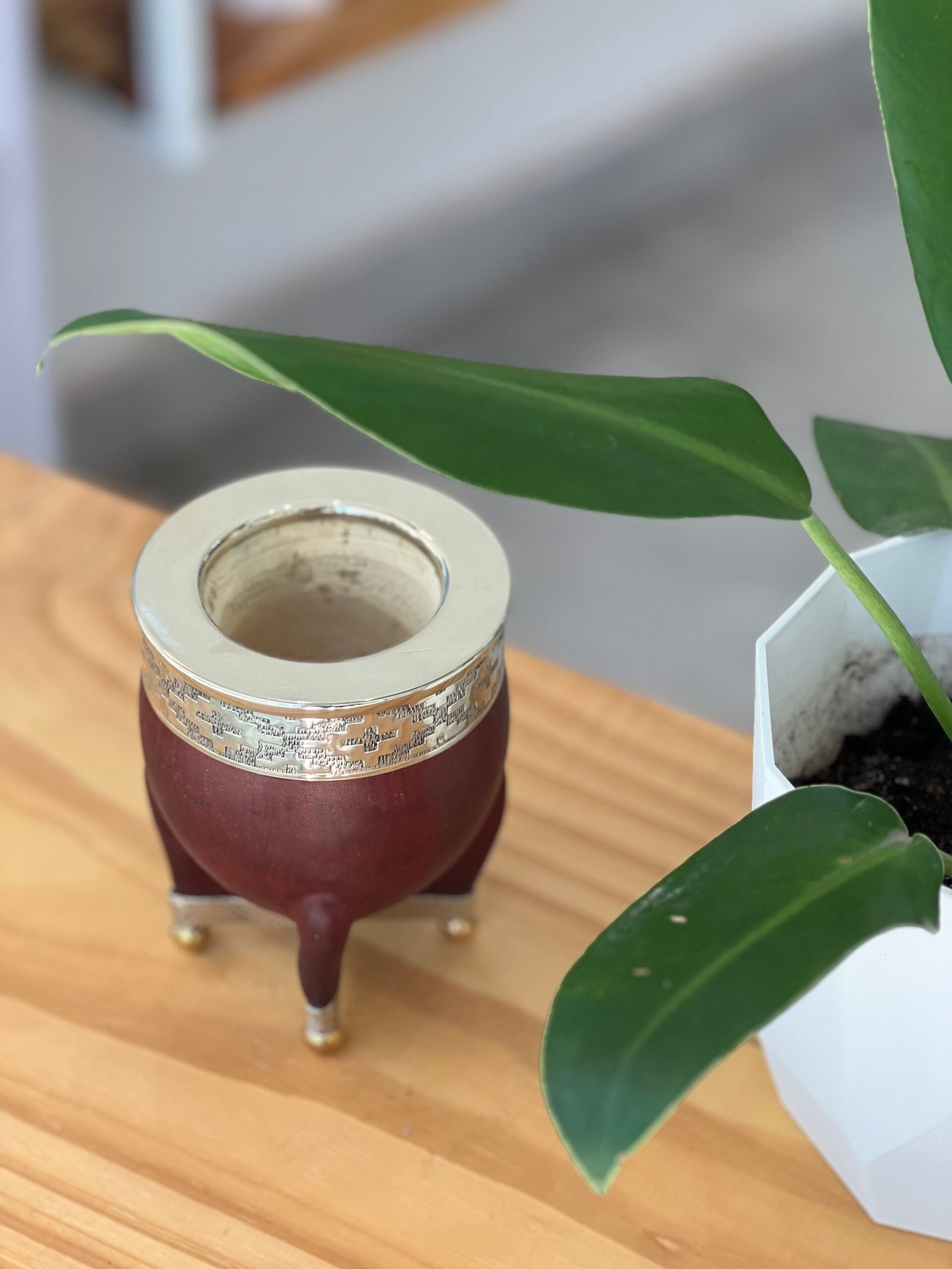 Imperial cuero liso con base de alpaca - Imagen 4