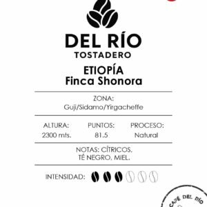 ETIOPÍA - FINCA SHONORA